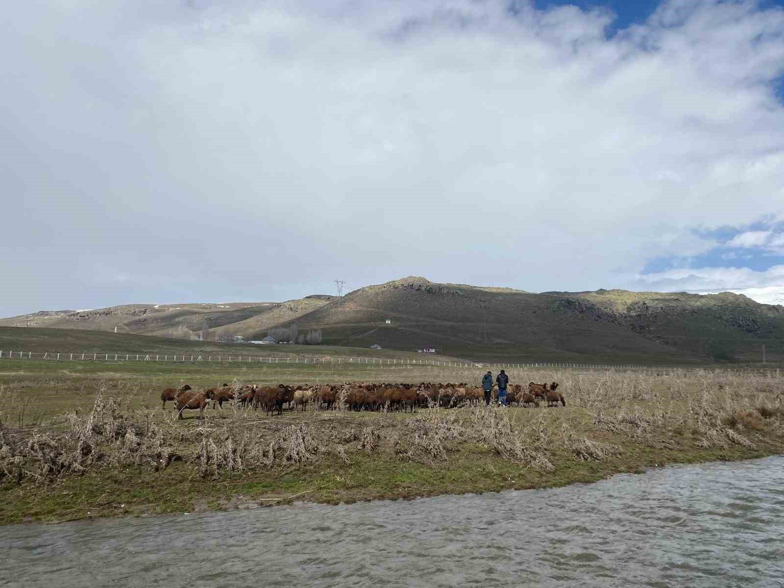 agrida 120 bin tl maasla coban araniyo 1 hhq7J5Zj