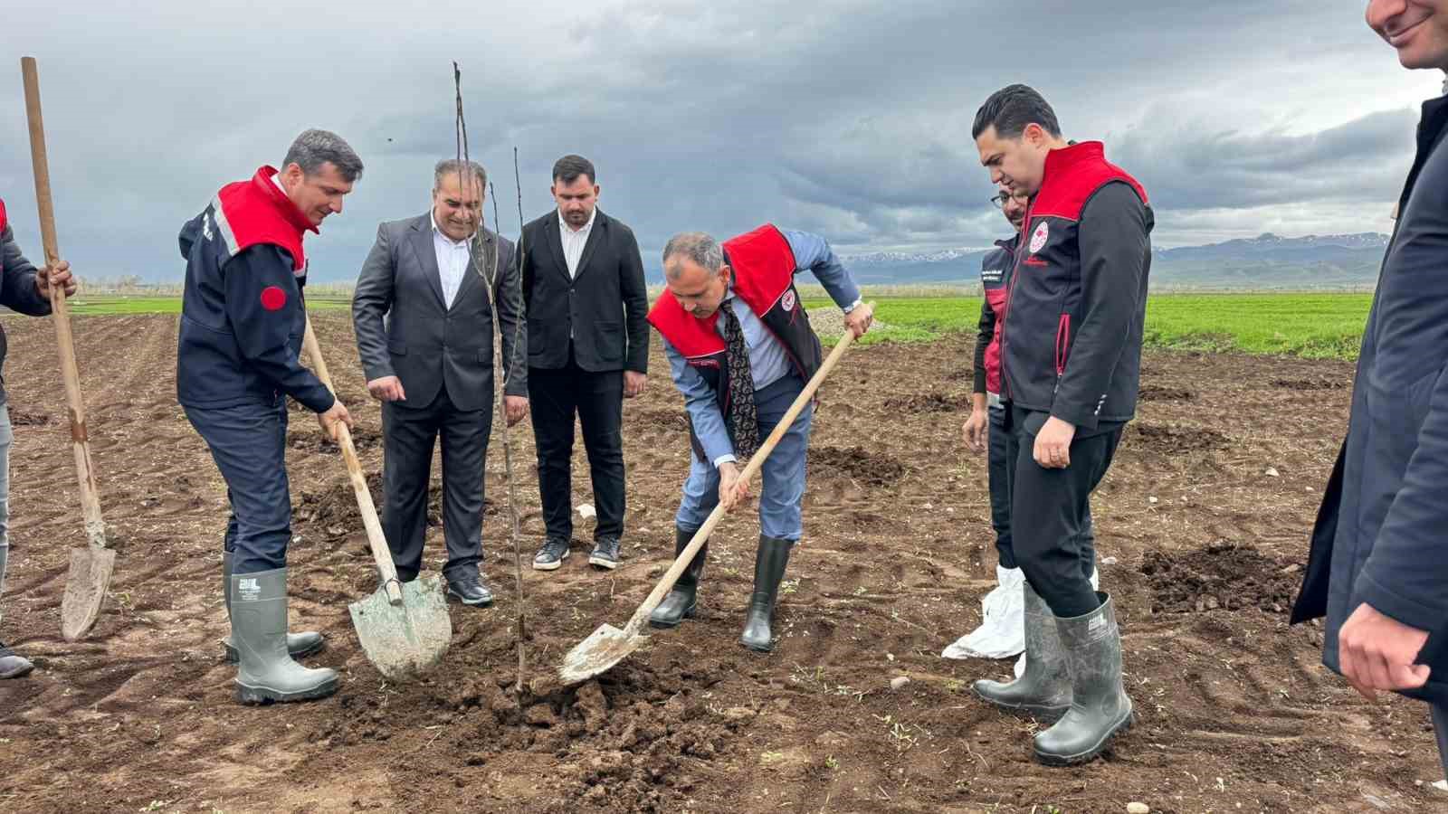 agrida 2 bin 500 ciftciye 50 bin meyve fidani dagitildi 1 XK8MJJzR