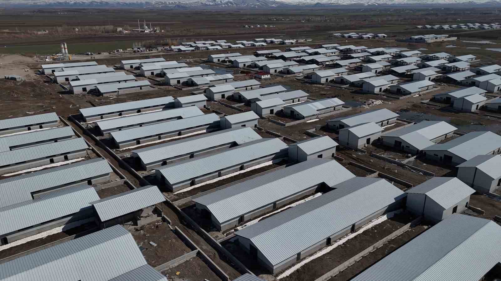 agrida 307 ahirlik hayvancilik ussu hayata geciyor 0 IsdTI5JF