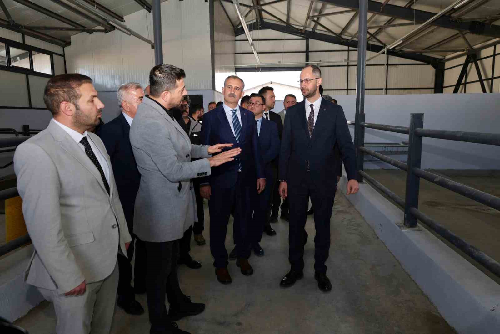 agrida 307 ahirlik hayvancilik ussu hayata geciyor 2 AH64nFDR