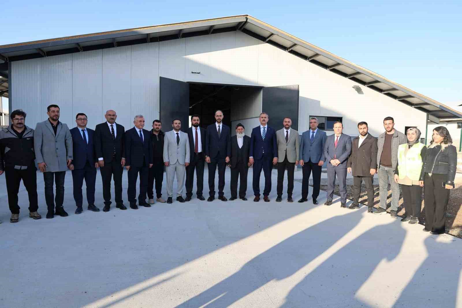 agrida 307 ahirlik hayvancilik ussu hayata geciyor 3 1CplMmP3