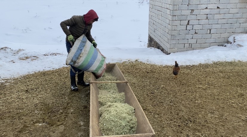 agrida besicilerin zorlu kis mesaisi 1 rvVzIcgp