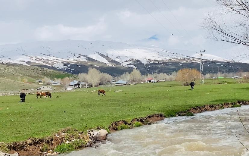agrida iki mevsim bir arada 0 pmEApXyP