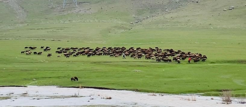 agrida iki mevsim bir arada 3