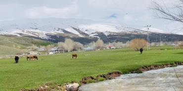 agrida-iki-mevsim-bir-arada-dEXpwp2u.jpg