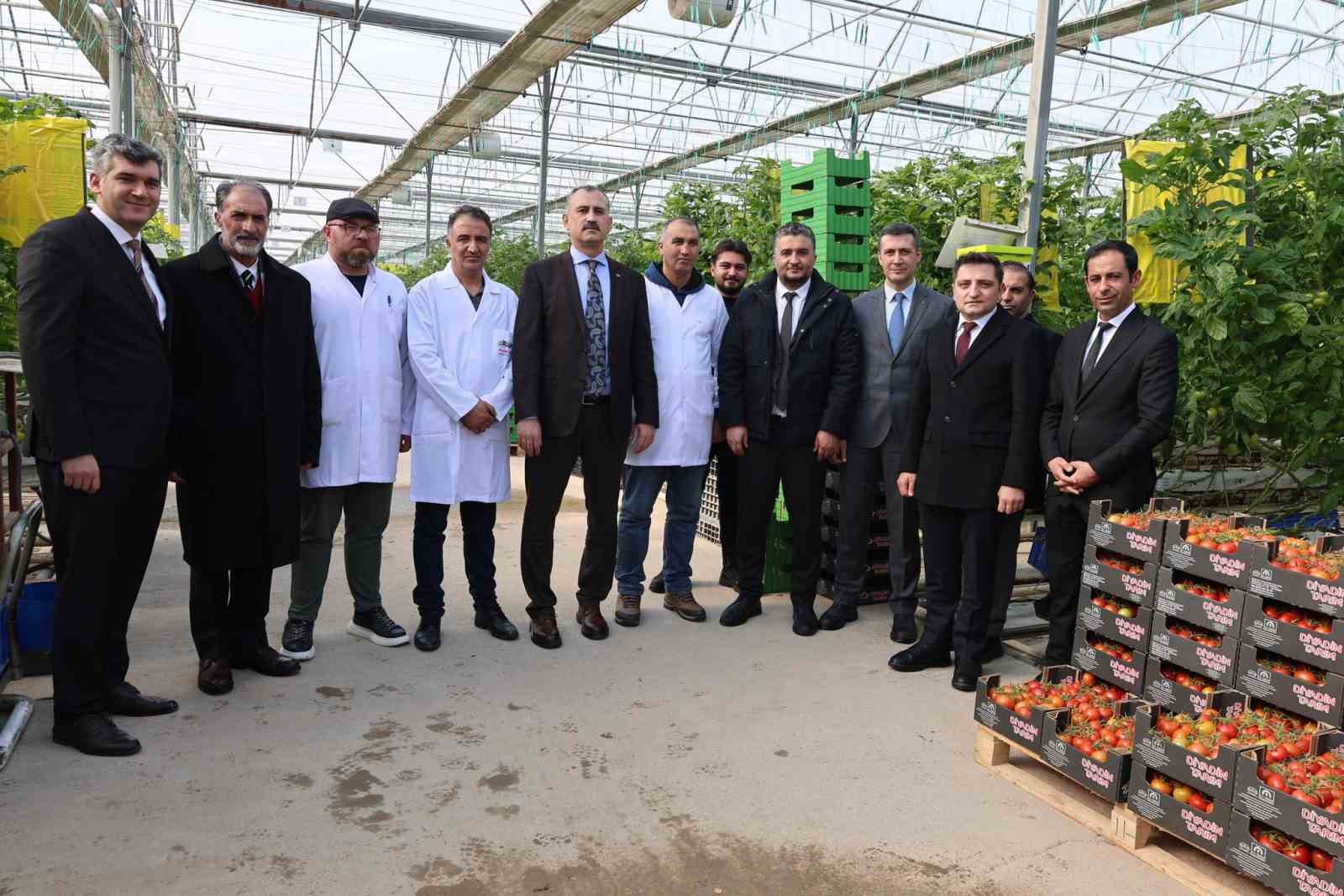 agrida jeotermal serada uretilen urunler avrupa pazarina aciliyor 1 j8w6kNbf