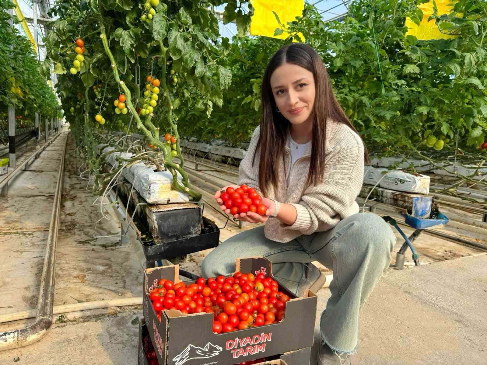 agrida jeotermal serada uretilen urunler avrupa pazarina aciliyor 3