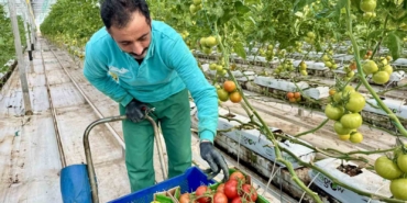 agrida-jeotermal-serada-uretilen-urunler-avrupa-pazarina-aciliyor-LPU2Ss2G.jpg