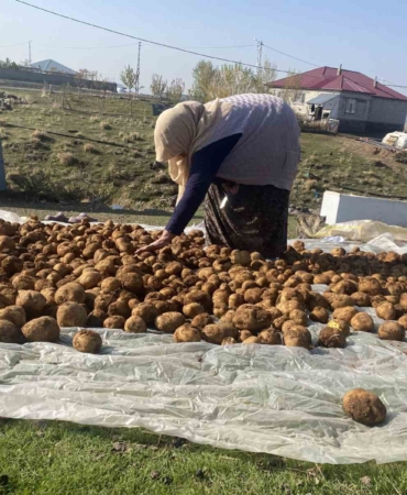 agrida-kislik-patatesler-geleneksel-yontemle-topraga-gomulerek-korunuyor-BZyG6Fuu.jpg