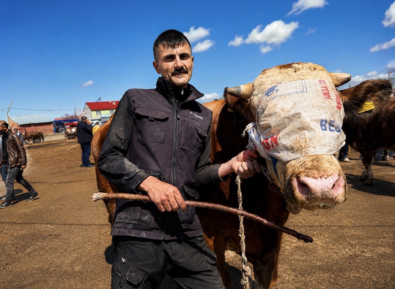 agrida kurban pazari hareketlendi sevkiyatlar artti 2 ZXf3VGX4