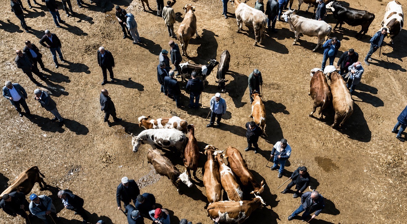 agrida kurban pazari hareketlendi sevkiyatlar artti 4 WZjFyptd