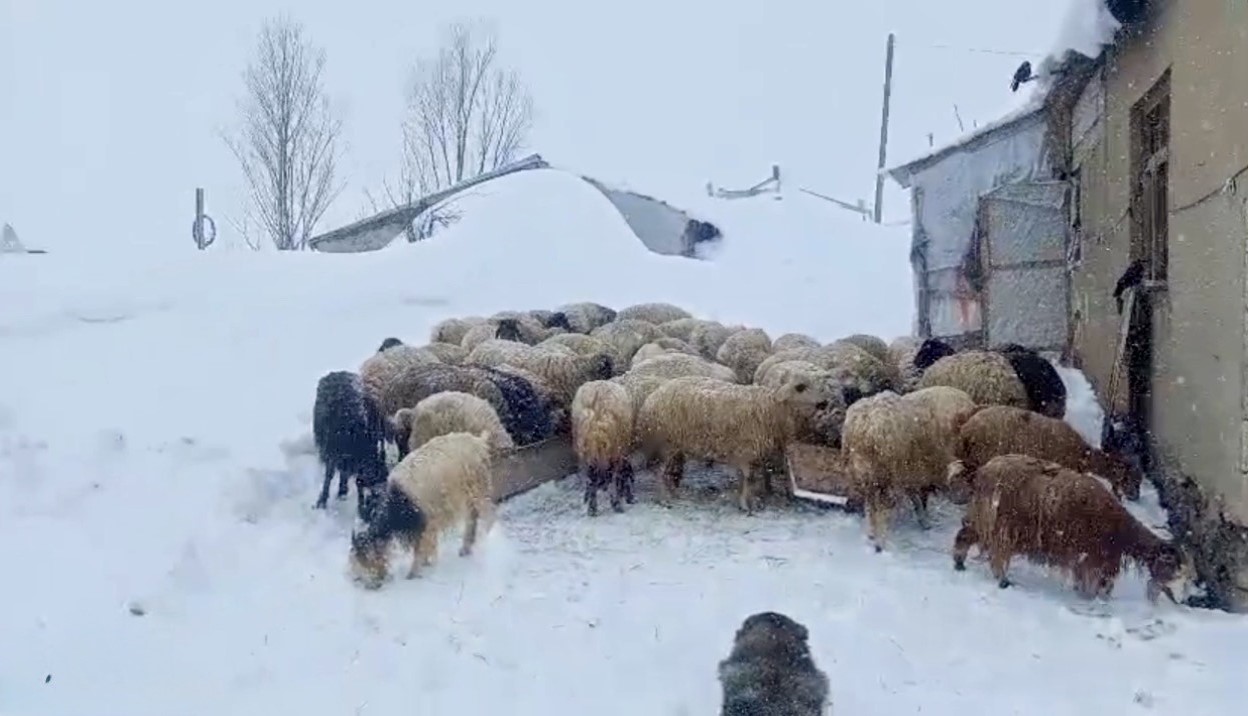 agrida nisan ayinda etkili olan kar kalinligi insan boyunu asti 2 ZPFNHQJS