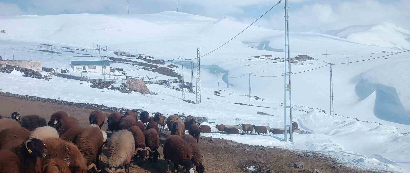 agrida nisan ayinda kar yagisi yollari kapatti 0 RRIRDbRf