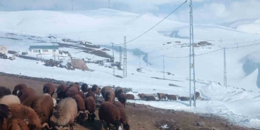 agrida-nisan-ayinda-kar-yagisi-yollari-kapatti-PyvqymwY.jpg