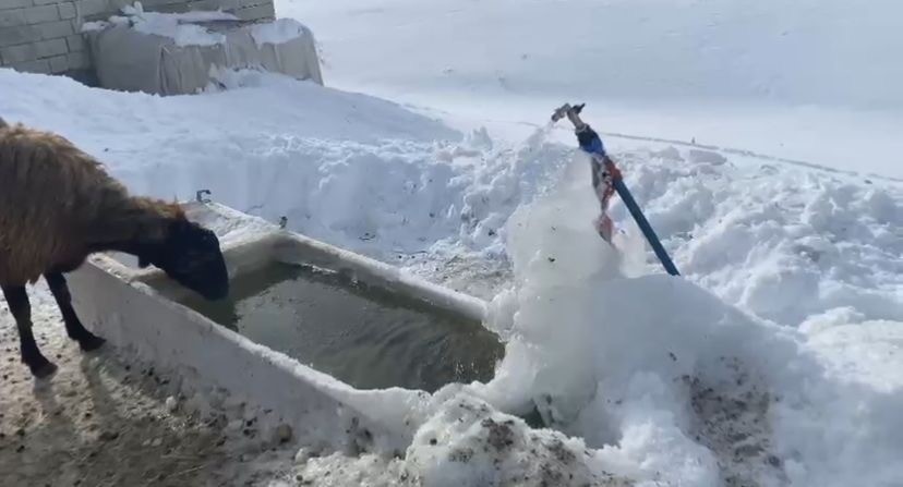 agrida soguk hava etkisini gostermeye devam ediyor 0 TVfJ8TjW
