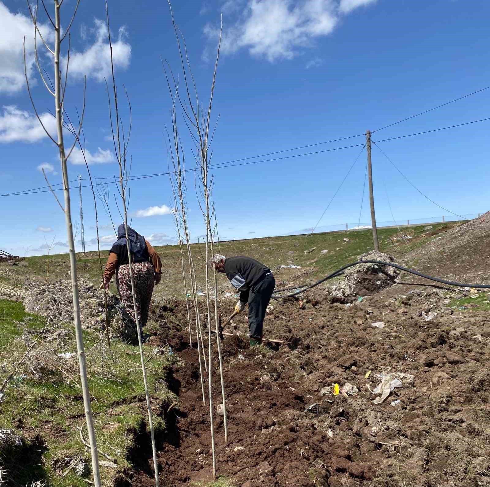agrida vatandaslar imece usulu fidan dikerek gelecege nefes oluyor 0 8D1dziD4