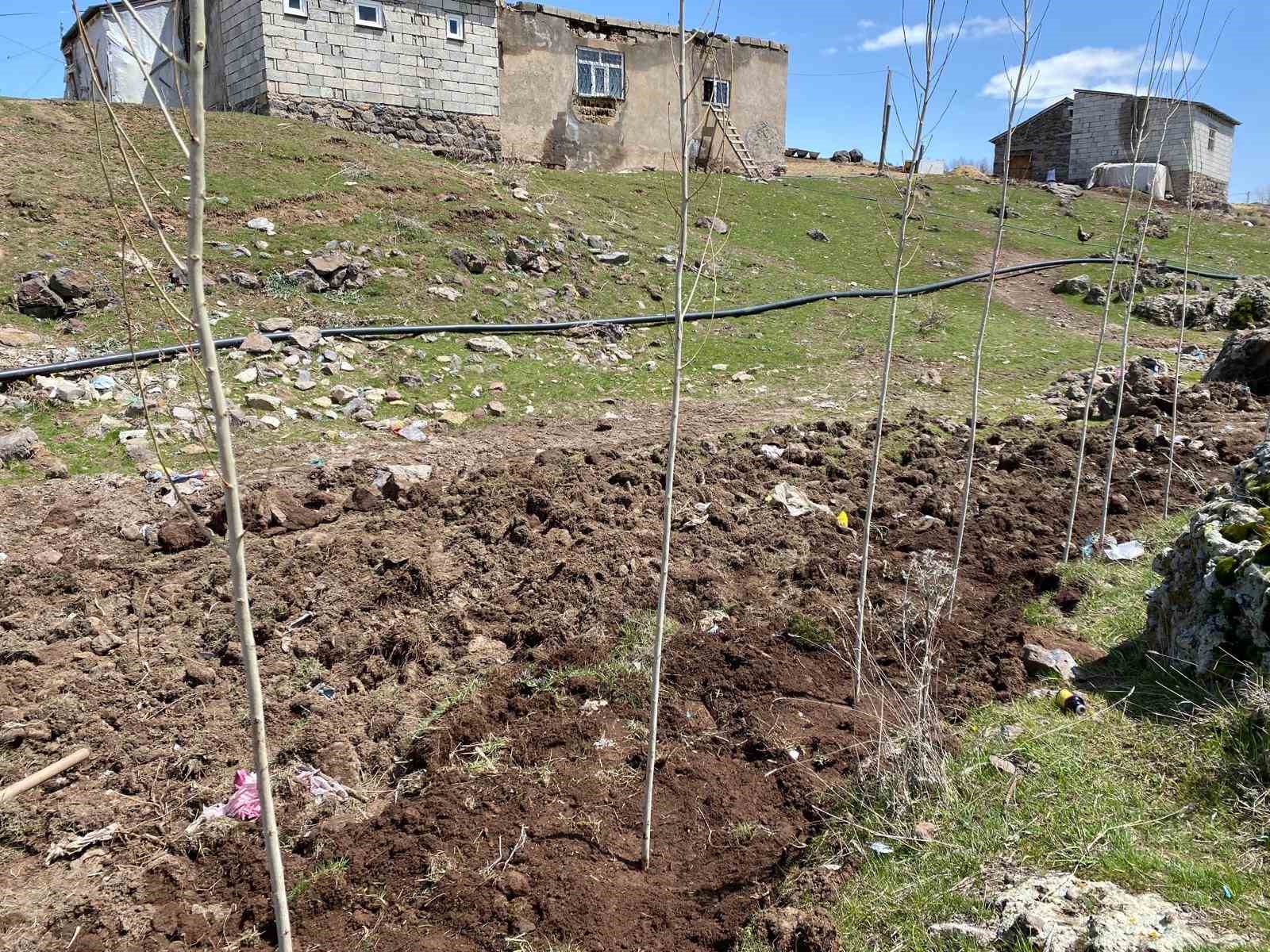 agrida vatandaslar imece usulu fidan dikerek gelecege nefes oluyor 1