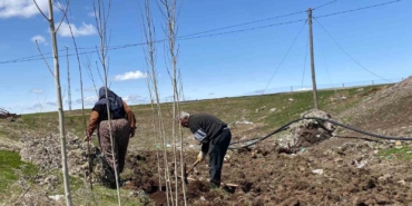 agrida-vatandaslar-imece-usulu-fidan-dikerek-gelecege-nefes-oluyor-3waKq2tf.jpg