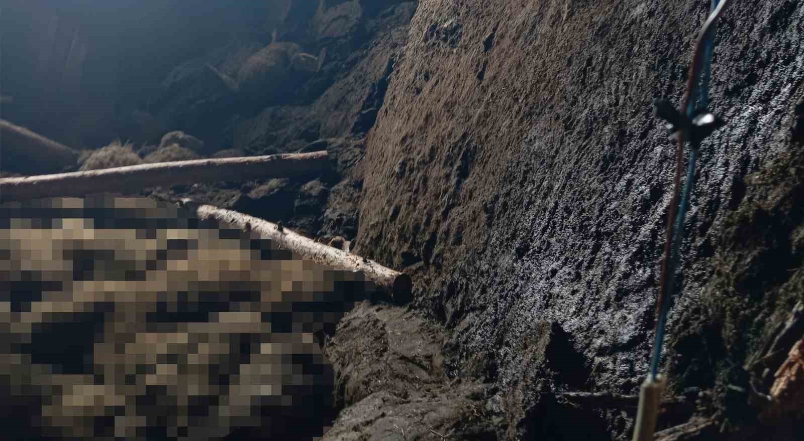 Ahır göçüğünde can pazarı: Kadın ağır yaralı kurtarıldı, hayvanlar enkaz altında kaldı 7 ahir gocugunde can pazari kadin agir yarali kurtarildi hayvanlar enkaz altinda kaldi 3 uTLIF6lN