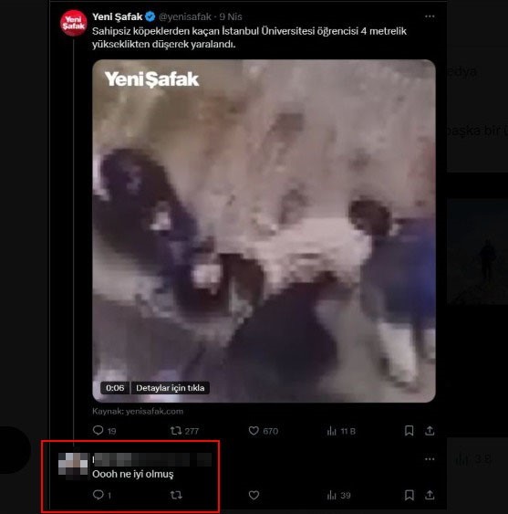 aile sagligi merkezindeki sedyede kopek tedavi eden doktorun skandal ifadeleri yeniden gundem oldu 2 kn2JcWGp