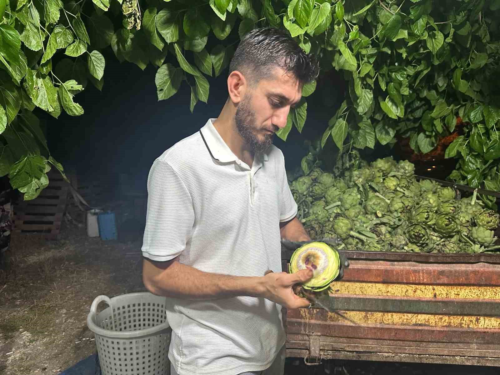 Ailecek enginar soyucular: Soyması 10 saniye sürüyor 4 ailecek enginar soyucular soymasi 10 saniye suruyor 0 2vwWyafr
