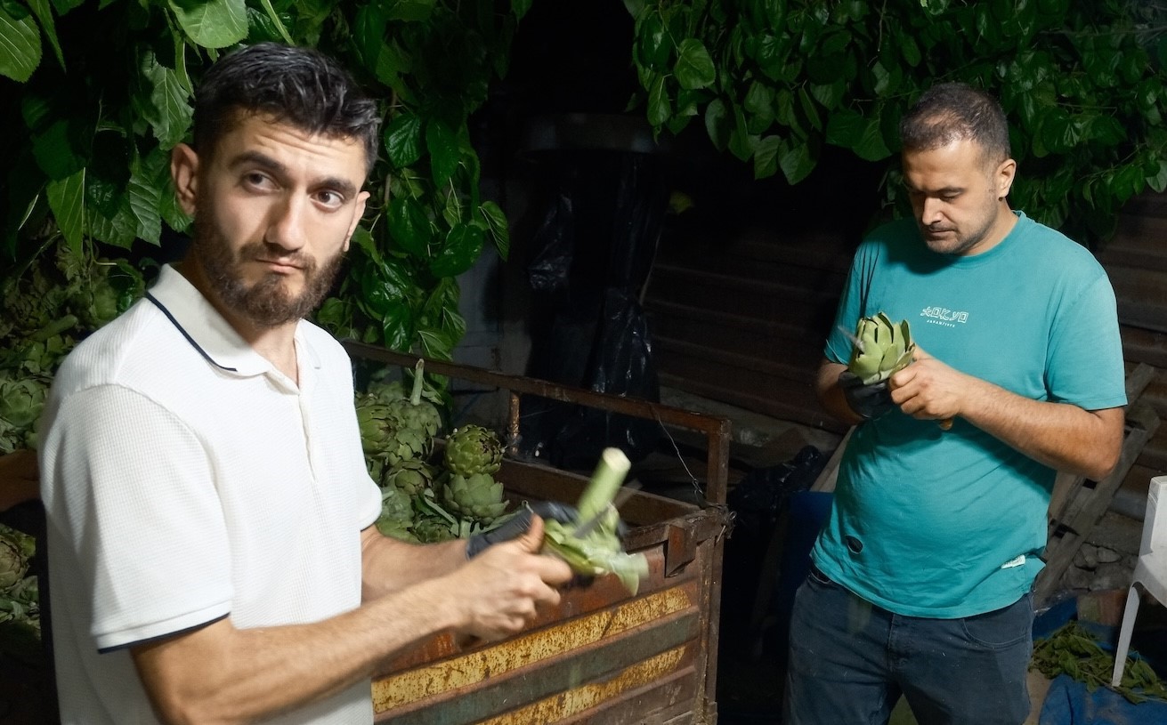 Ailecek enginar soyucular: Soyması 10 saniye sürüyor 7 ailecek enginar soyucular soymasi 10 saniye suruyor 3 TRMtfQOM