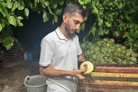 ailecek-enginar-soyucular-soymasi-10-saniye-suruyor-UPkx1Dda.jpg