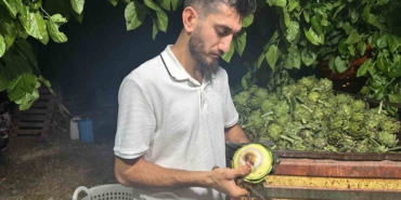 ailecek-enginar-soyucular-soymasi-10-saniye-suruyor-UPkx1Dda.jpg