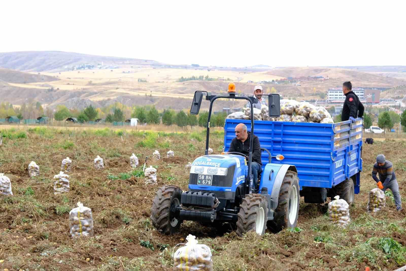 akademik patateslerin hasadi basladi 2 9Le2SqJR