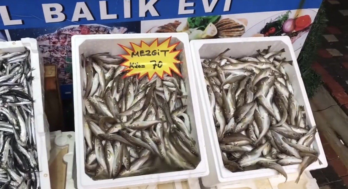 akcakocadan balik tuketicilerine uyari buzhane baligina dikkat 2 INiUkUV7
