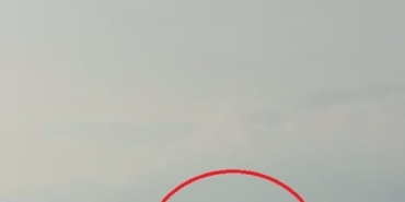 akdeniz-aciklarinda-balikci-teknesini-selamlayan-yunuslar-goruntulendi-Fx7SDTxD.jpg