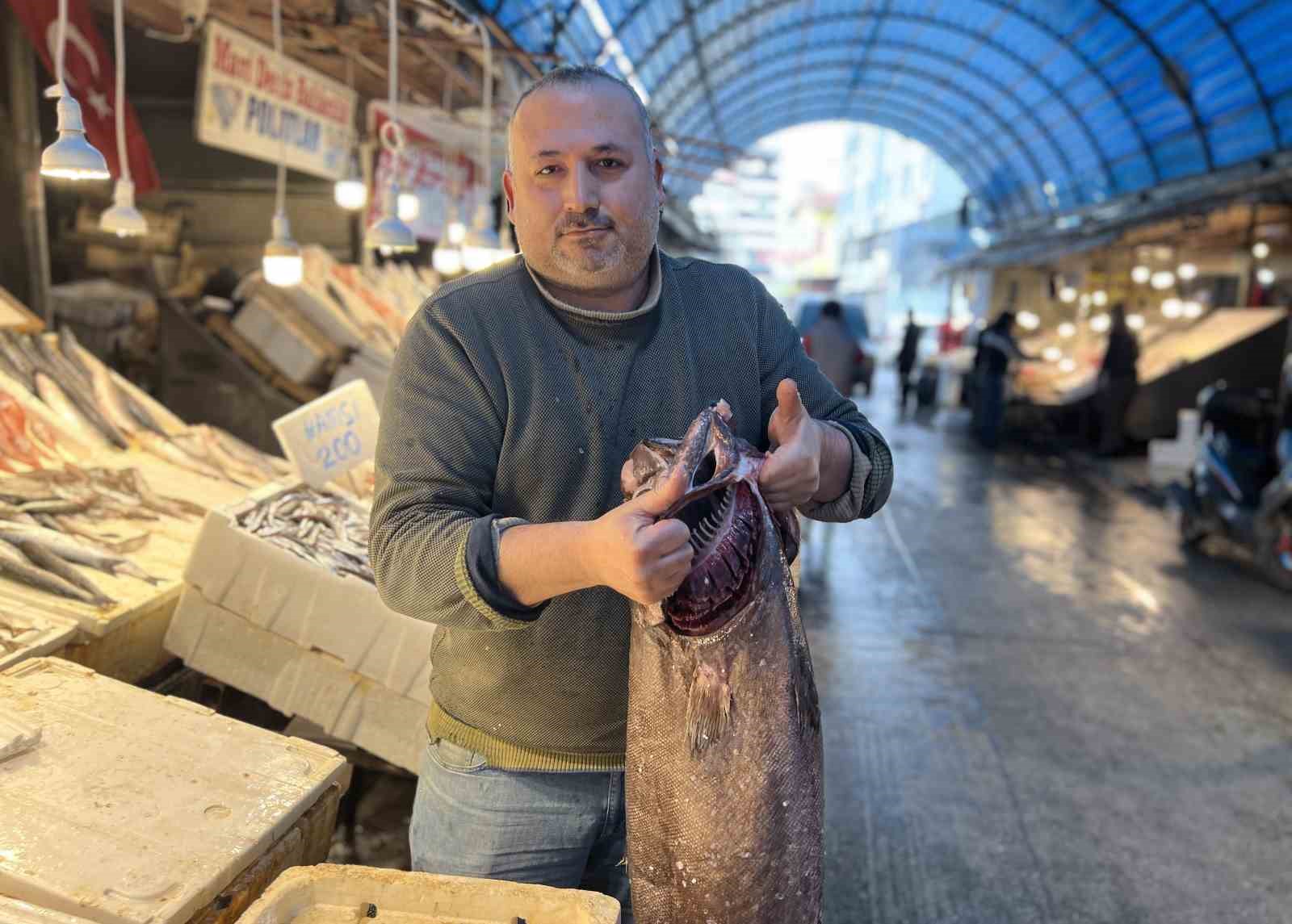 akdenizde 15 metrelik atlas baligi yakalandi 1 5YKp3q67