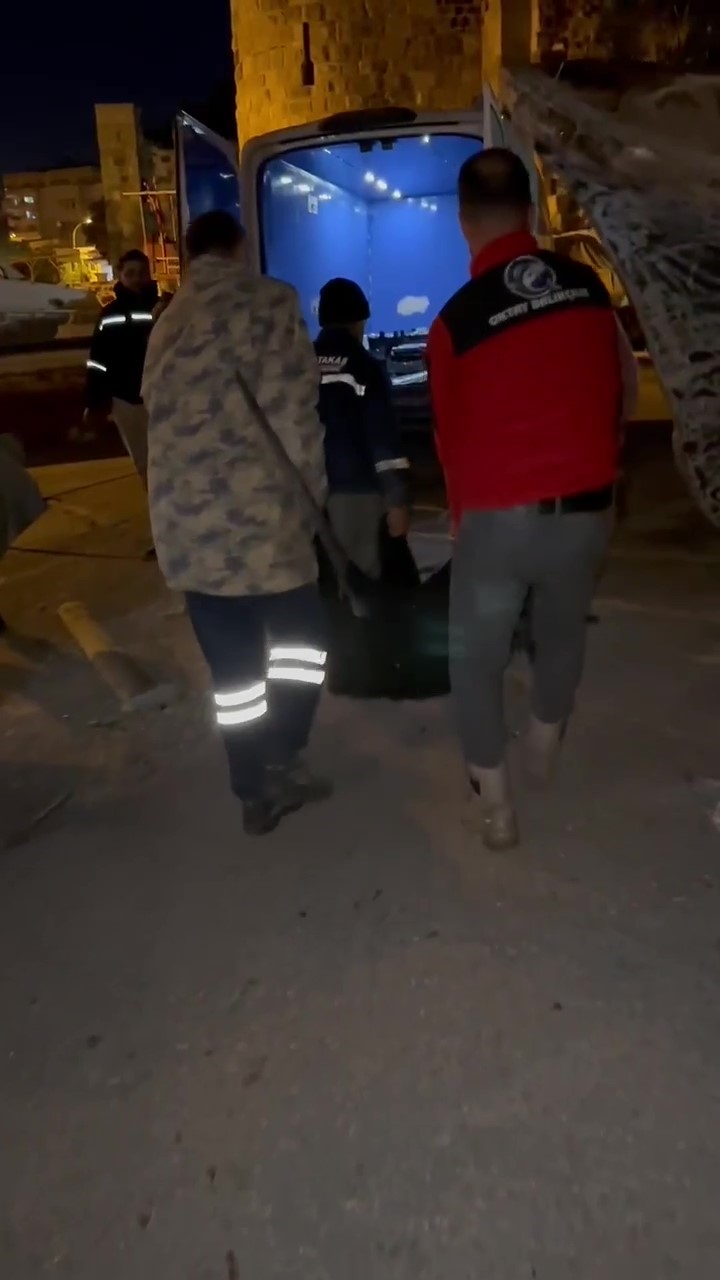 akdenizde oltasina takilan dev kilic baligi 115 kilogram geldi 4 3fBEV4yN