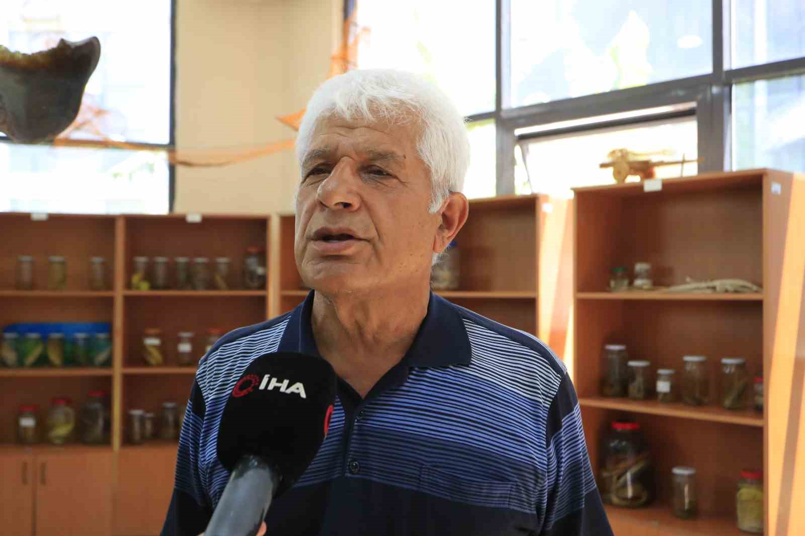 Akdeniz’de vatoz sürüsünün su yüzeyindeki görsel şöleni dron kamerasına yansıdı 6 akdenizde vatoz surusunun su yuzeyindeki gorsel soleni dron kamerasina yansidi 2 YdZtpr3C