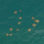 akdenizde-vatoz-surusunun-su-yuzeyindeki-gorsel-soleni-dron-kamerasina-yansidi-w5H2BNyy.jpg