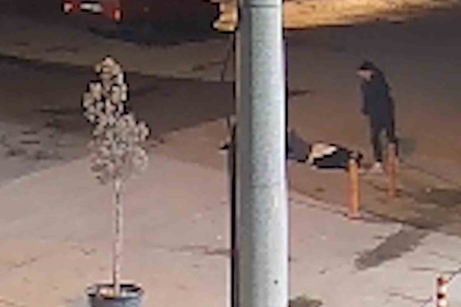 Akrabalar arasında silahlı kavga kamerada: Yeğenini vurdu, ardından kazara kendisini yaraladı 5 akrabalar arasinda silahli kavga kamerada yegenini vurdu ardindan kazara kendisini yaraladi 1