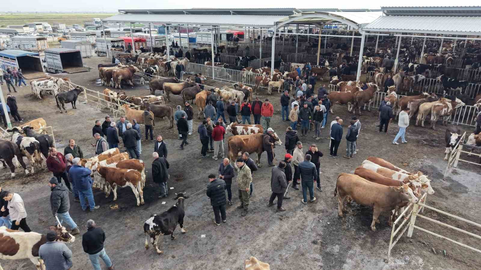 aksarayda hayvan pazarinda kurban hareketliligi yasaniyor 0 B3MSaR3u
