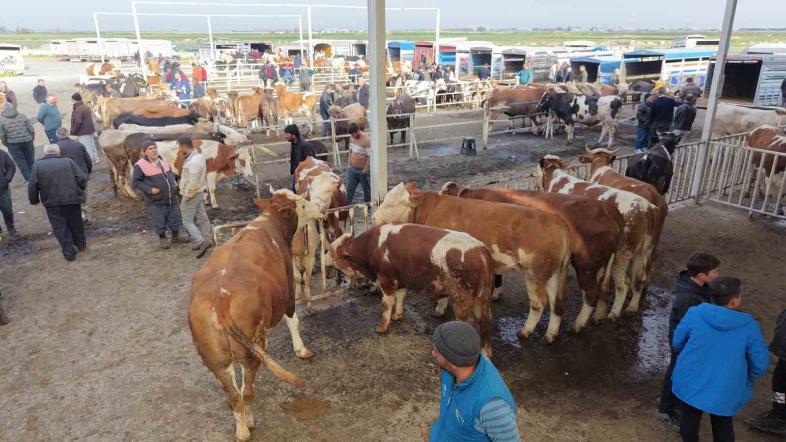 aksarayda hayvan pazarinda kurban hareketliligi yasaniyor 3 CiNeCk2m