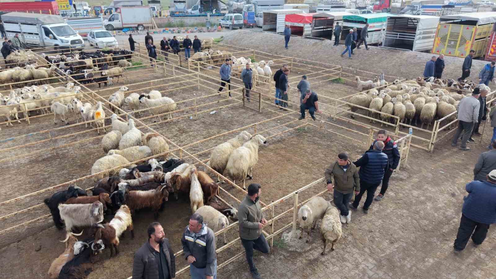 aksarayda hayvan pazarinda kurban hareketliligi yasaniyor 6 gZ5ReviR