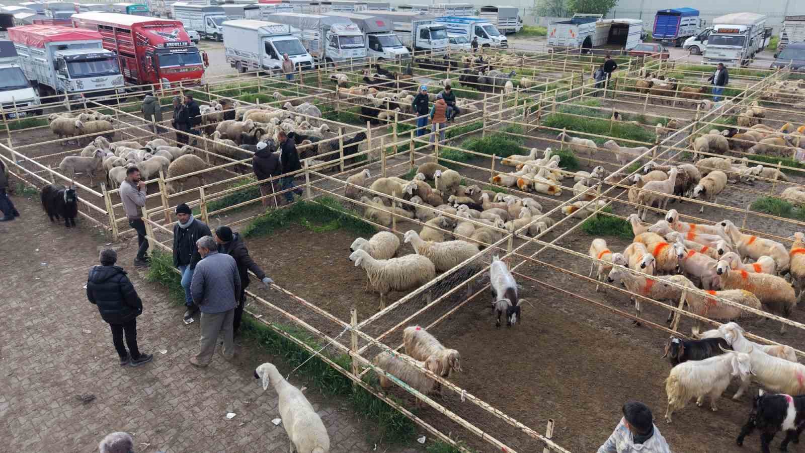 aksarayda hayvan pazarinda kurban hareketliligi yasaniyor 7 cvNp3mI4