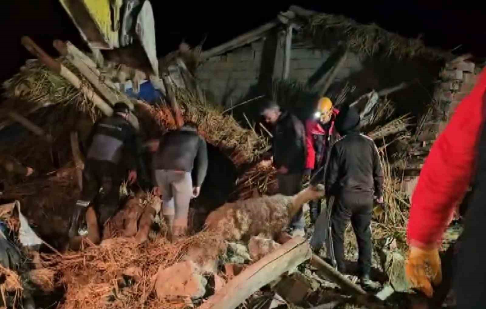 aksarayda mandira coktu cok sayida hayvan telef oldu 3 yrSSK9Zv