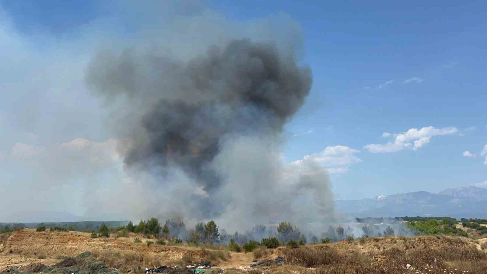 aksuda orman yanginina havadan ve karadan mudahale 0 3VNsfpfO