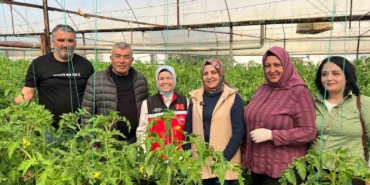 aksuda-ortu-alti-tarimda-yillik-yaklasik-370-bin-tonluk-rekoltenin-tamami-kadin-ciftcilerin-emegiyle-KSien87S.jpg