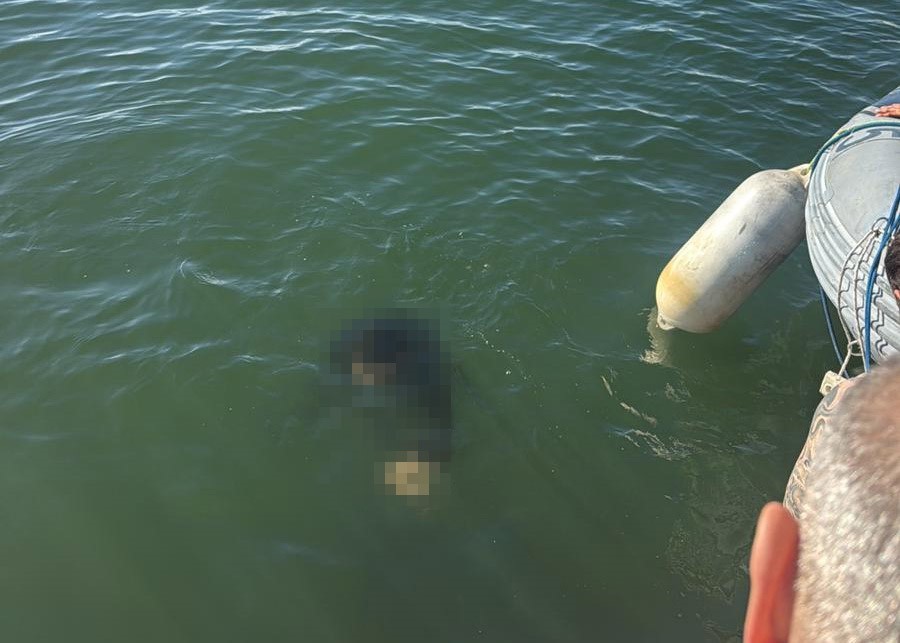 akulu tekerlekli sandalyesiyle denize dusen kisi kurtarilamadi 0 SItYMlBn