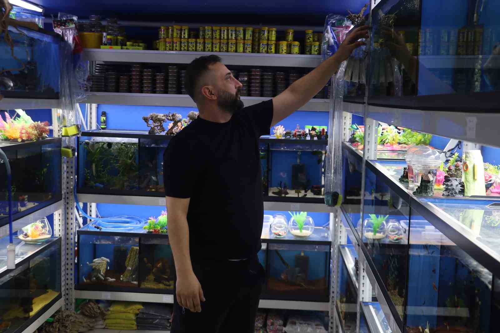 Akvaryumseverler artık süs balıklarını değil, egzotik ve tehlikeli türleri tercih ediyor 4 akvaryumseverler artik sus baliklarini degil egzotik ve tehlikeli turleri tercih ediyor 0 PkTuqJzd
