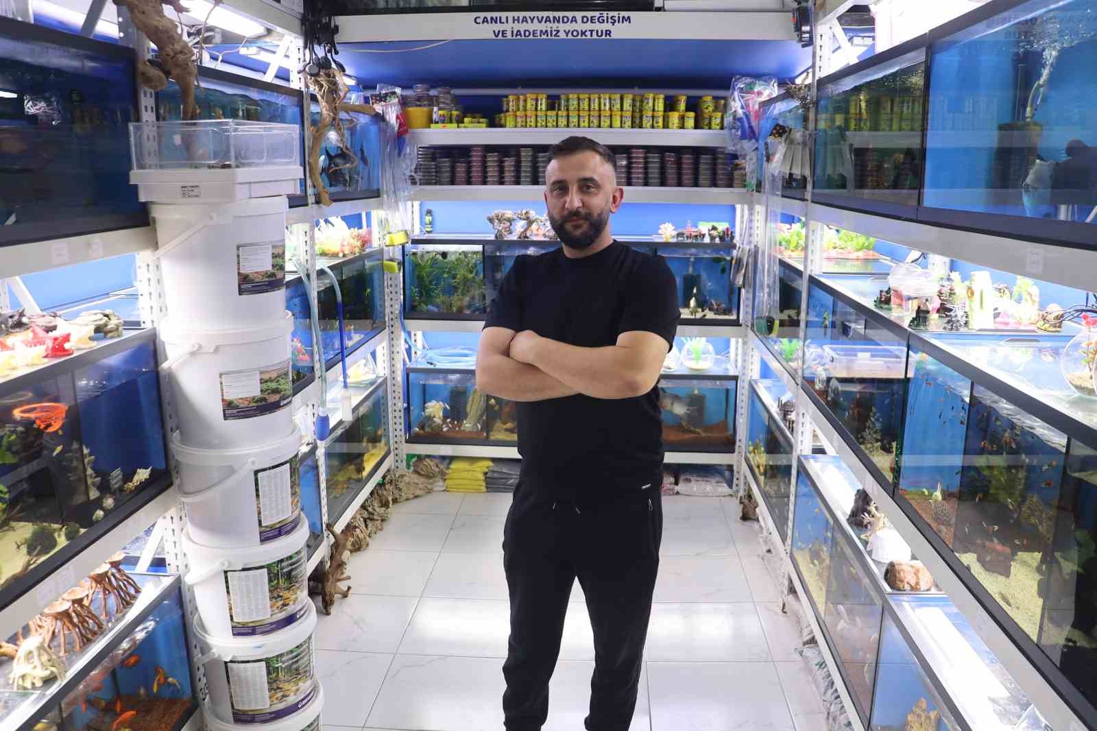 Akvaryumseverler artık süs balıklarını değil, egzotik ve tehlikeli türleri tercih ediyor 6 akvaryumseverler artik sus baliklarini degil egzotik ve tehlikeli turleri tercih ediyor 2 USbvJCFC