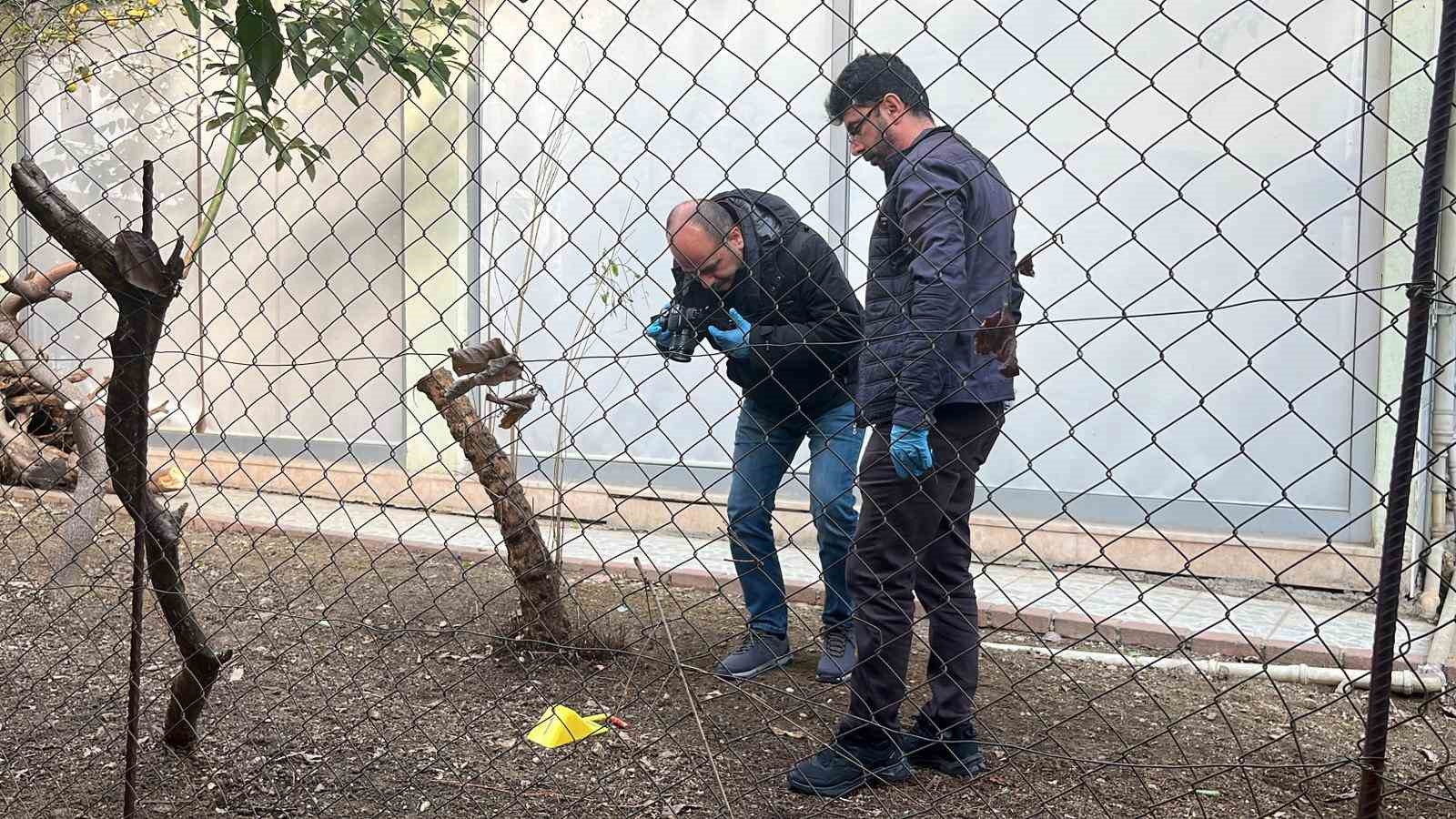 alanyada alacak verecek meselesi kanli bitti 1 yarali 6