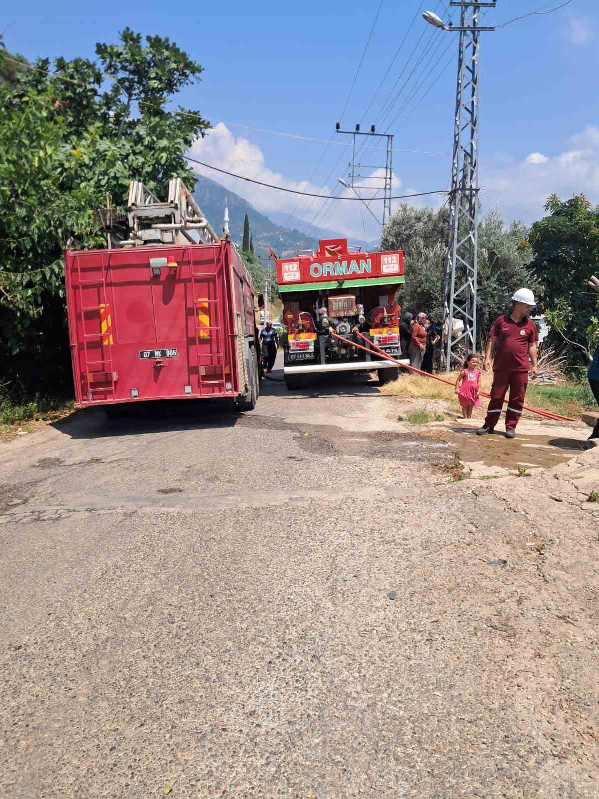 Alanya’da avokado bahçelerinin bulunduğu zirai alanda yangın 5 alanyada avokado bahcelerinin bulundugu zirai alanda yangin 1 5qhwBljD