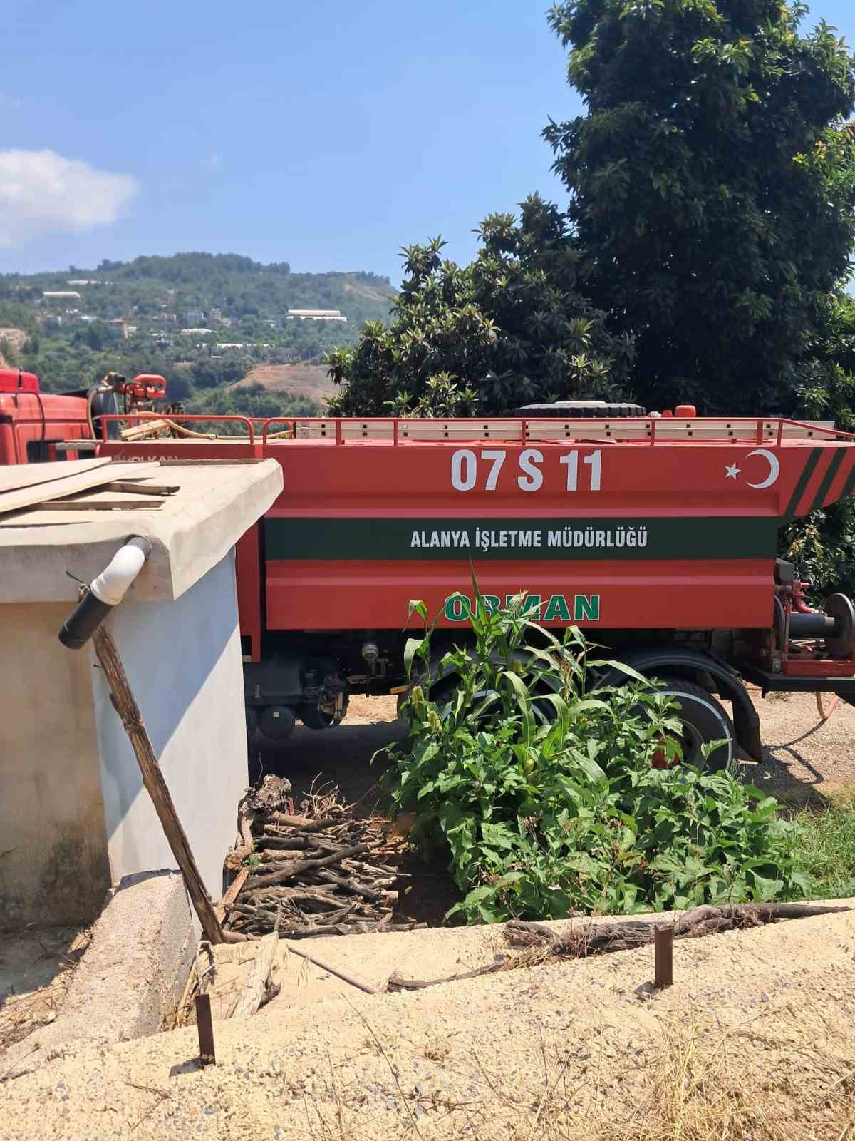 Alanya’da avokado bahçelerinin bulunduğu zirai alanda yangın 7 alanyada avokado bahcelerinin bulundugu zirai alanda yangin 3 TksaWffI