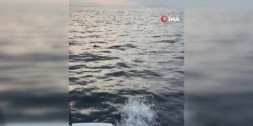 alanyada-ayaklarina-misina-dolanan-martiyi-amator-balikcilar-kurtardi-t6nIqD8t.jpg